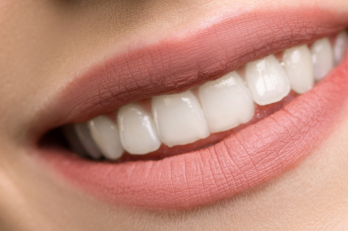 Konstantes Verhaeltnis Oberlippe Unterlippe